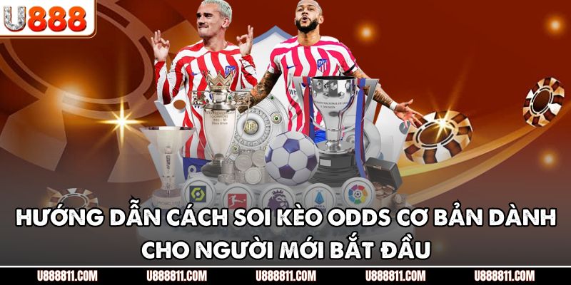 Hướng dẫn cách soi kèo odds cơ bản dành cho người mới bắt đầu
